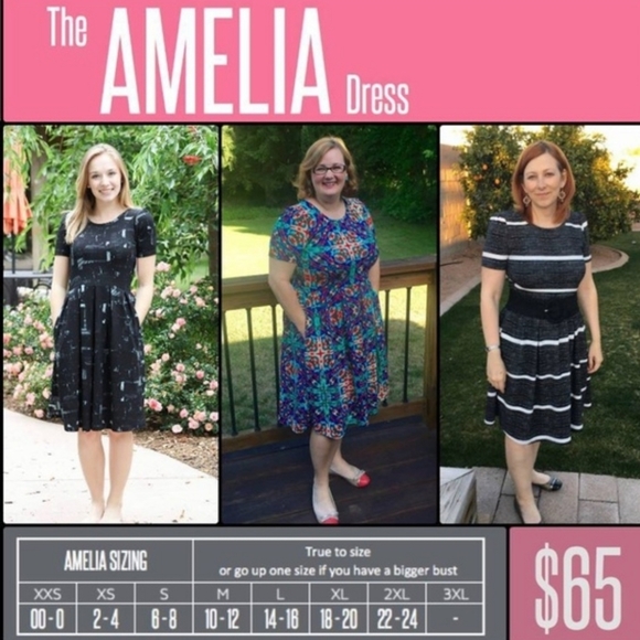 NWT Lularoe Amelia A-line Midi Dress in Beautiful Light Blue & Tan Print XS - Picture 8 of 9